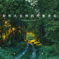 小清新森林 - 疗愈音律