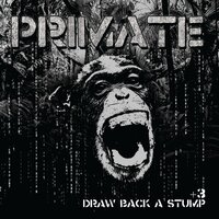 Global Division - Primate