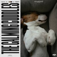 The New You Unlocked - Music for Sleeping Puppies
