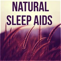 Stress Relief After Work - Beautiful Deep Sleep Music Universe