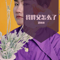 我胖又怎么了 - 郑冰冰