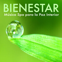 Meditar Profundamente - Sanar el Alma