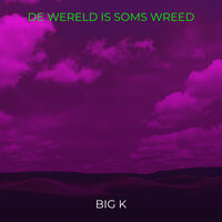 De Wereld Is Soms Wreed - Big K
