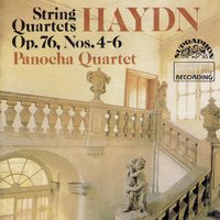 String Quartets, Op. 76, No. 5 in D Major, Hob. III:79: II. Largo - Cantabile e mesto - Panocha Quartet & Йозеф Гайдн