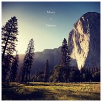 Cosmic Delights - Sounds of Nature for Deep Sleep and Relaxation & Naturgeräusche & Sons De La Nature