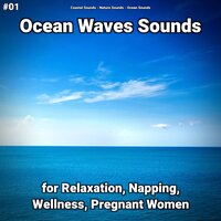 Ocean Waves Sounds Part 86 - Coastal Sounds & Nature Sounds & Ocean Sounds