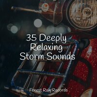 Ocean, Shore, Heavy - Rain Sound Plus & Rain Makers & Sampling XL