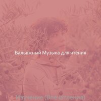 Моменты (Книги) - Вальяжный Музыка для чтения