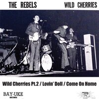 Wild Cherries - The Rebels