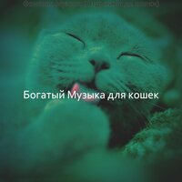 Настроения (Спящие кошки) - Богатый Музыка для кошек