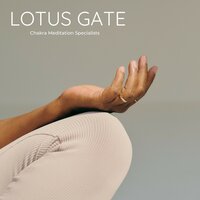 Dreamy Calm - Chakra Meditation Specialists