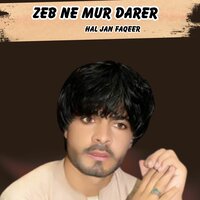 Zeb Pari - Hal Jan Faqeer