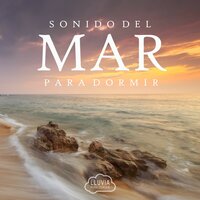 Sonido del Mar de Fondo para Dormir, Pt. 48 - Lluvia del Bosque & Lluvia para dormir & Sueño Profundo Club