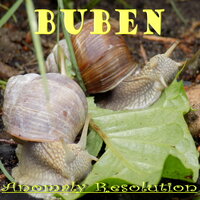 Anomaly Resolution - buben