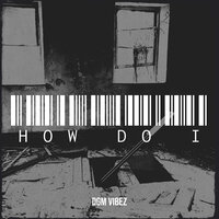 How Do I - DGM VIBEZ