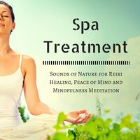 Dream Maker - Spa Style & Calm Music Ensemble & Calm Music Ensemble & Spa Style
