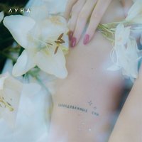 Тропик Козерога - Луна