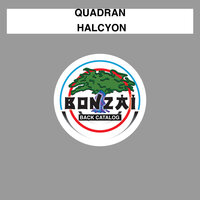 Halcyon - Quadran & Manu Riga