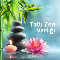 Mutlak Gevşeme - Gevşeme Meditasyon Akademisi