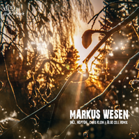 Ligo - Markus Wesen & Blue Cell