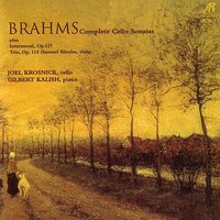 Trio In A Minor For Cello, Piano And Clarinet Or Viola, Op. 114: Adagio - Joel Krosnick