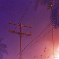 Palm Trees & Power Lines - KVSTET & OXVGEN
