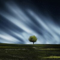 Air of Mystery - Zen Music Garden