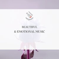 From a Fading Light - Violin Music & Violins & Sad Quartet