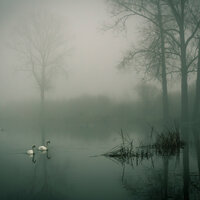Oxygen - Nature Soundscape & Crying & Colic Relief & meditacou musica ambiente