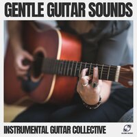Raindrops & Distant - Instrumental Guitar Collective