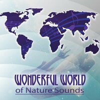 Perfect Piano - Wonderful World Music Consort