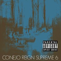 Robin Hood - Conejo