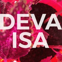 Param Ananda - DEVA
