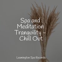 Into the Clouds - Rain Storm Sample Library & Water Sounds for Sleep & Sounds of Nature for Deep Sleep and Relaxation