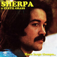 Hace Largo Tiempo - Sherpa & Fertil Grass