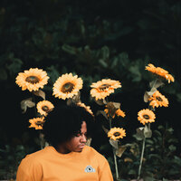 Sunflower - Lagoon Wavey