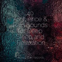 Storm & Wind Outside - Smart Baby Lullaby & Deep Sleep Music Academy & Spa Music Collective