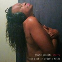 Mumakuta - David Ornette Cherry