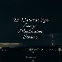 Relaxing Storm (Rain and Thunder) - Deep Sleep Music Academy & Soothing Nature Sounds & Música para Massagem Especialistas