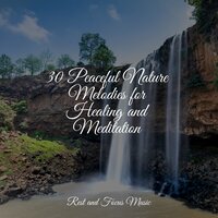 Music Love - Lullabies for Deep Meditation & Ambient Forest & Brain Study Music Guys