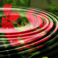 World in Flow - Sounds Of Nature : Thunderstorm & Yoga Soul & Restaurant Music Academy
