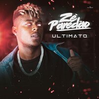 Todo Mundo Mete - Zé Paredão