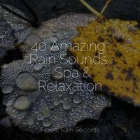 Ocean, Small, Waves - Rainfall For Sleep & Sounds Of Nature Relaxation & Naturaleza Sonidos