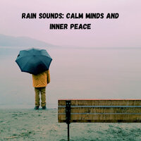 Ambient rain noise - Weather and Nature Recordings & Rain Sounds & Sleep Music Guys