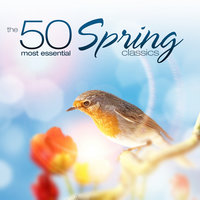 Symphony No. 1 in B Major, Op. 38 (Spring Symphony): II. Larghetto - SWR Symphony Orchestra & Southwest German Radio Symphony Orchestra & Роберт Шуман