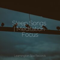 By the Campfire - Rain Storm Sample Library & Water Sounds for Sleep & Sounds of Nature for Deep Sleep and Relaxation