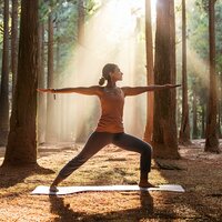 Serenity In Motion - Pure Yoga Music & Stretching Music & White Noise Healing Power