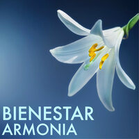 Yoga para Principiantes - Armonia Florez