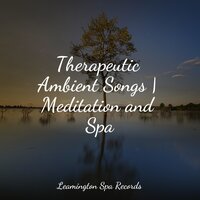 A State of Calm - The Sleep Principle & Música para Massagem Especialistas & Nature Music Pregnancy Academy