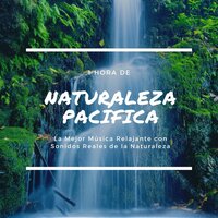 Corazón del Bosque - Naturaleza Ensemble